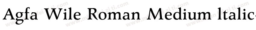 Agfa Wile Roman Medium ltalic字体转换